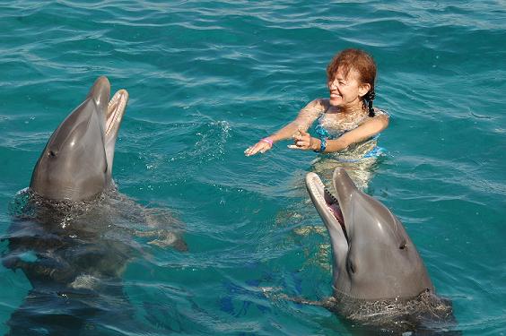 Swimming With Dolphins c. Dolphin Academy 2005